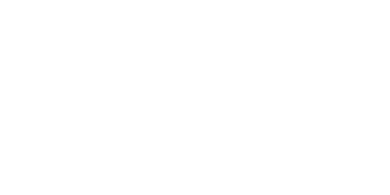 Gemeente Delft Logo wit