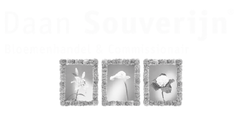 daan souverijn edited