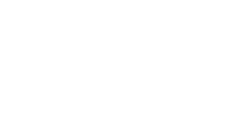 logo stedin